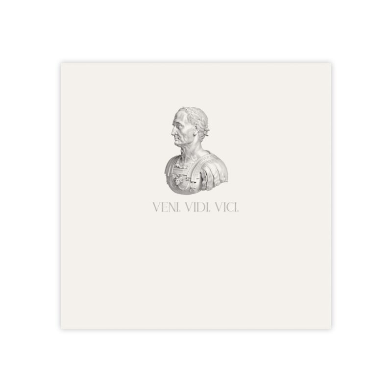 Veni Vidi Vici | Julius Caesar Post-it® Note Pads - Image 9