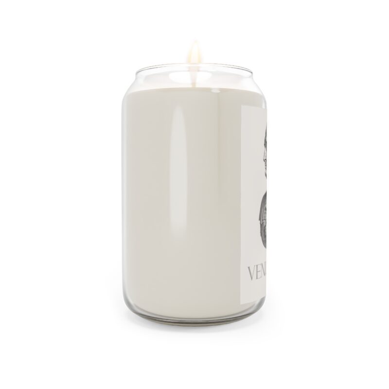 Veni Vidi Vici | Julius Caesar Affirmation Candle - Image 3